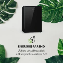 Delaware Kühlschrank 75 Liter 4-Liter-Gefrierfach Kompression 13 Delaware Kühlschrank 75 Liter 4-Liter-Gefrierfach Kompression -Optimal Küchengeräte Geschäft 10034554 de 0003 logo