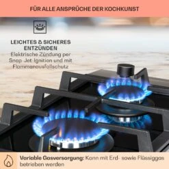 Alchemist Domino Gaskochfeld 2-flammig Aluminium-Brenner Glaskeramik -Optimal Küchengeräte Geschäft 10034968 de 0005 usp
