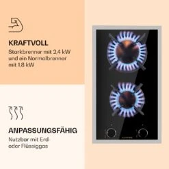 Goldflame Domino Prime Gaskochfeld 2-flammig Messing-Brenner Glaskeramik -Optimal Küchengeräte Geschäft 10037806 de 0004 logo