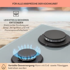 Firetale Gaskochfeld 2-flammig Aluminium-Brenner Erdgas/Propangas Inkl. Schlauch Und Druckminderer -Optimal Küchengeräte Geschäft 10041301 de 0005 usp