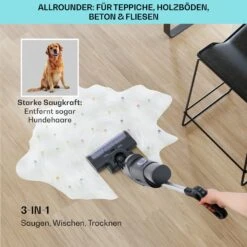 Caswell Plus Nass-/Trockensauger Kabellos Akkubetrieben LED-Display -Optimal Küchengeräte Geschäft 10041383 de 0004 usp